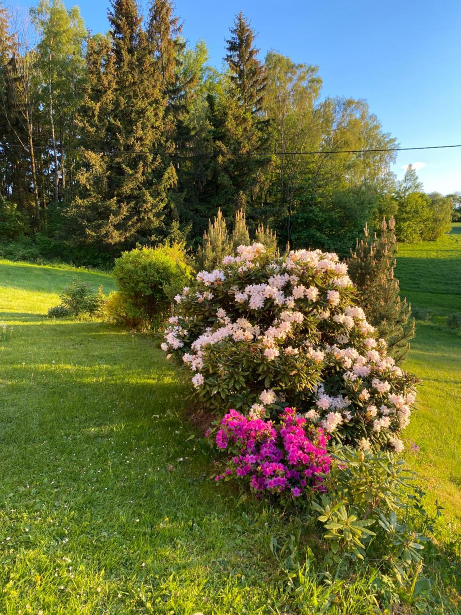 Apartmán Pod Žalým Benecko Esterno foto